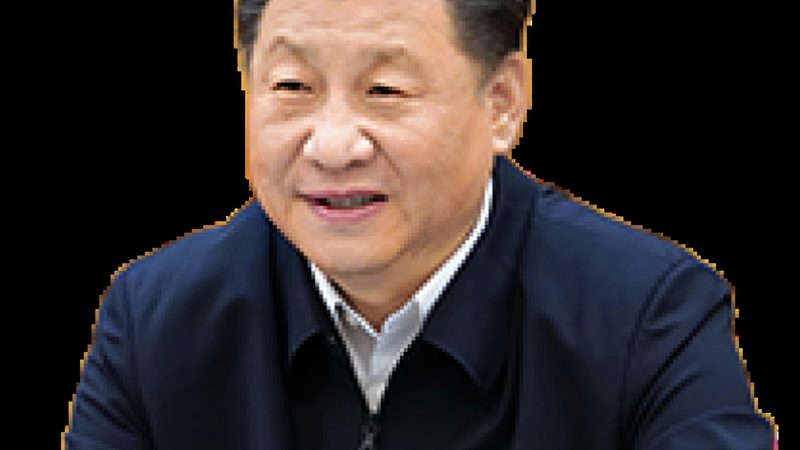 生物降解性表面活性剂：定制化制造的未来趋势**